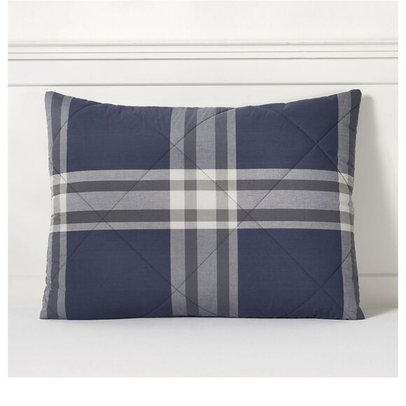 Pottery Barn - Pillow Sham - Picture 1 of 5